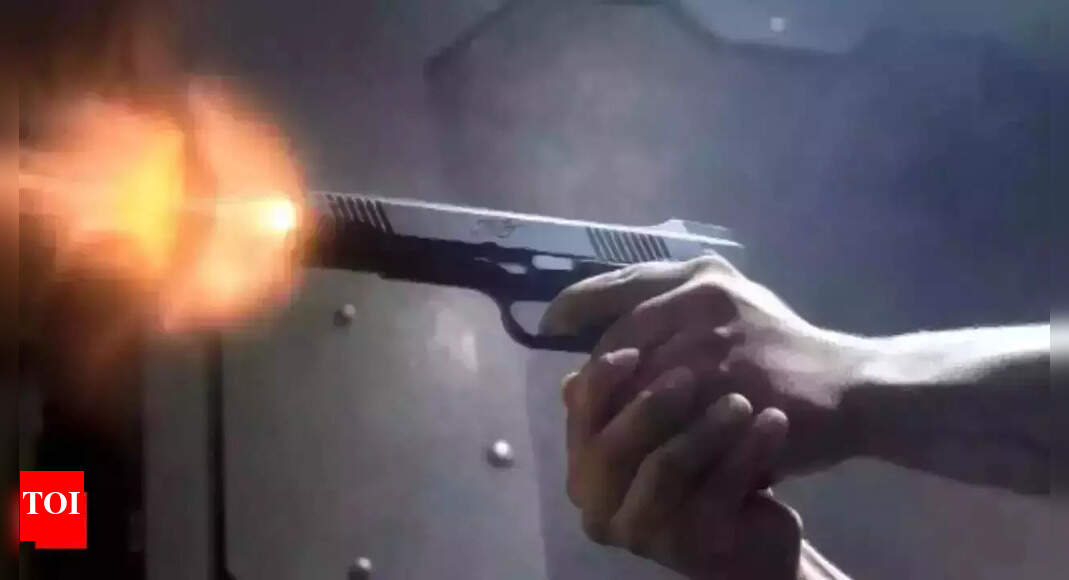 Kerala-origin girl shot in London: 33-year-old convicted in gang attack; child left with bullet in brain | Kochi News