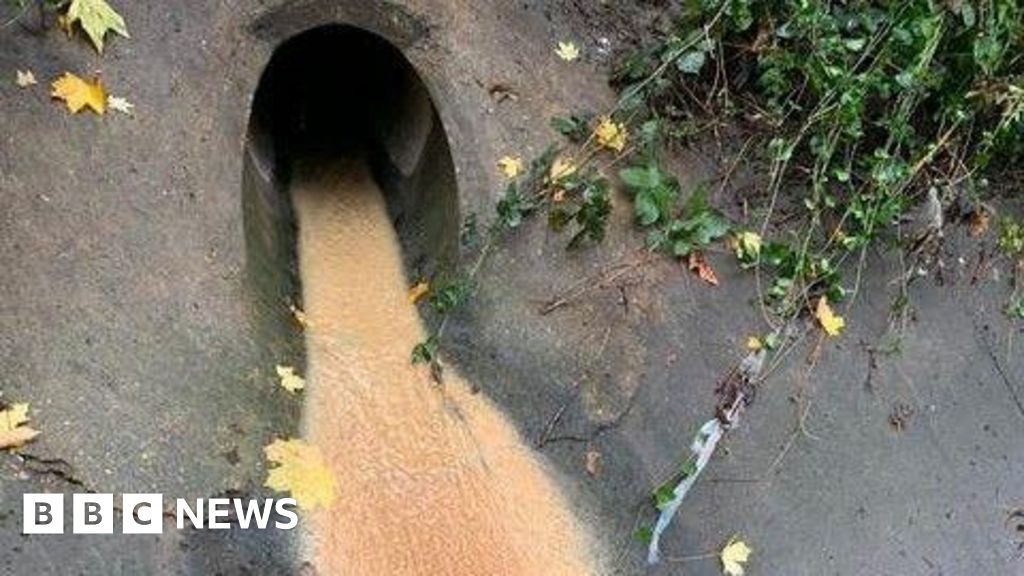 More than 2,000 waste pipes misconnected in London