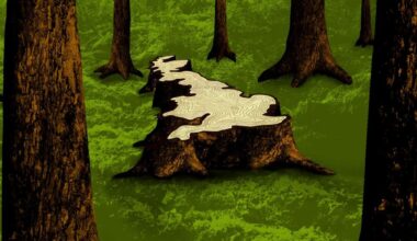 From dirty water to wildlife protections, the…