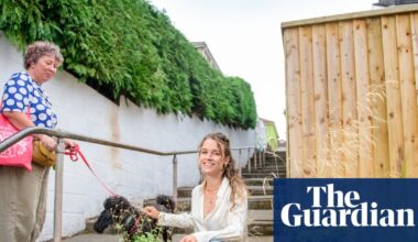 ‘Bee buffets’: the pollinator pathways turning drab alleys into insect havens | Insects