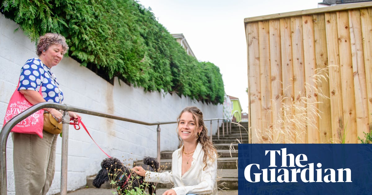 ‘Bee buffets’: the pollinator pathways turning drab alleys into insect havens | Insects