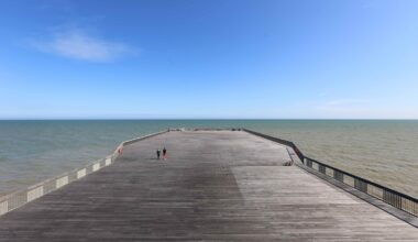 How Not to Build: Architecture by the Absence of Intervention