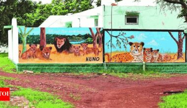 Gujarat's pride to remain MP's envy? Plan to bring lions to Kuno likely shelved | India News