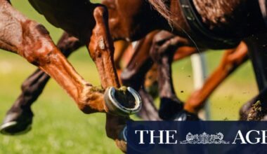 Race-by-race preview and tips for Sunday’s meeting at Goulburn