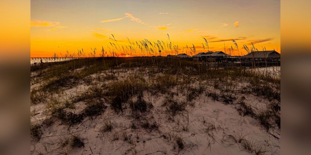 Woman Walking Beach At Night Finds Dozens Of Babies Lost Far From Home