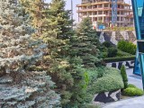 2x crop zoom daylight photos - f/1.8, ISO 50, 1/256s - Realme 15 Pro  review