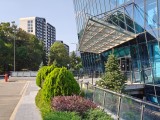 2x crop zoom daylight photos - f/1.8, ISO 50, 1/897s - Realme 15 Pro  review