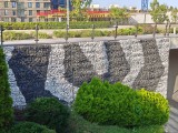 2x crop zoom daylight photos - f/1.8, ISO 50, 1/800s - Realme 15 Pro  review