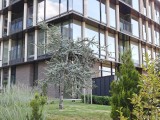 2x crop zoom daylight photos - f/1.8, ISO 50, 1/310s - Realme 15 Pro  review