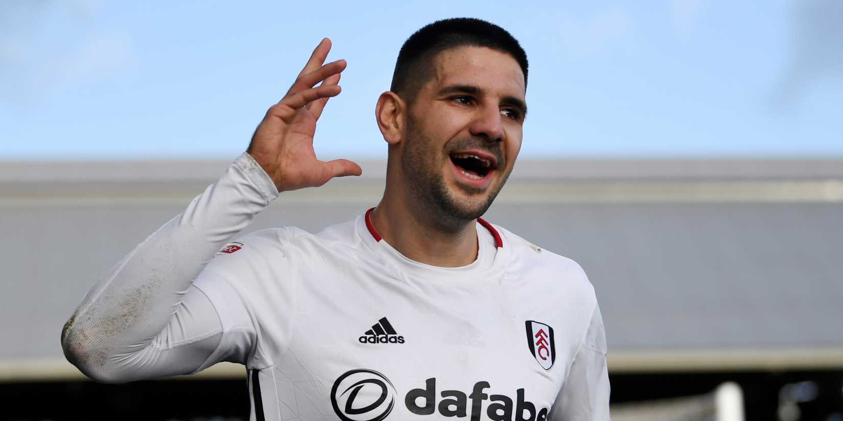 aleksandar-mitrovic-fulham