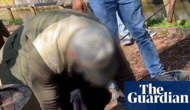 Trout farm in Cotswolds tourist hotspot accused of welfare abuses | Animal welfare