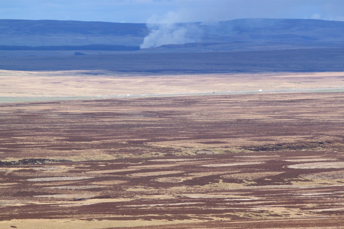 A Wilder Future for the Uplands – Raptor Persecution UK