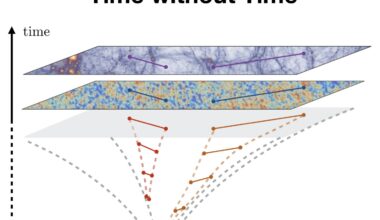 A new perspective on how cosmological correlations change based on kinematic parameters