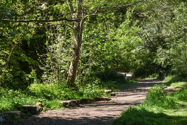 Fletcher Moss Park
