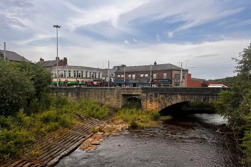 I thought Hillsborough was only good for its football - but don't be fooled, it was rather more scenic than I expected -Credit:Lyra Auld