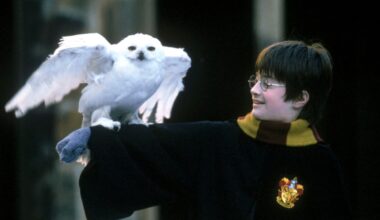 Home Alone, Harry Potter director says films weren’t family movies - London Evening Standard