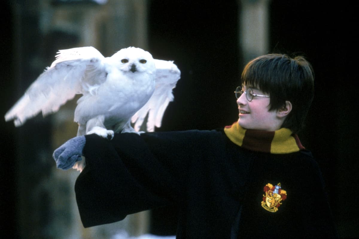 Home Alone, Harry Potter director says films weren’t family movies - London Evening Standard