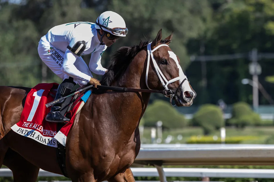 Luis Saez teamed with Patch Adams to win the H. Allen Jerkens Memorial (G1)Walter Wlodarczyk&sol;NYRA