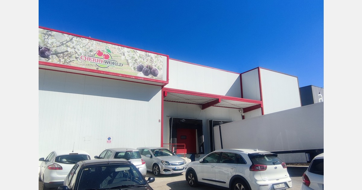 Reemoon has launched the first cherry sorting line in Spain’s Jerte Valley