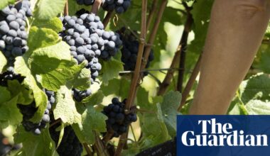 Weatherwatch: does August rain bring honey and wine? | Environment