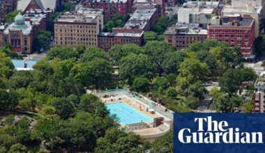 ‘The tree is trying its best’: why New Yorkers are counting – and rating – every park tree | New York