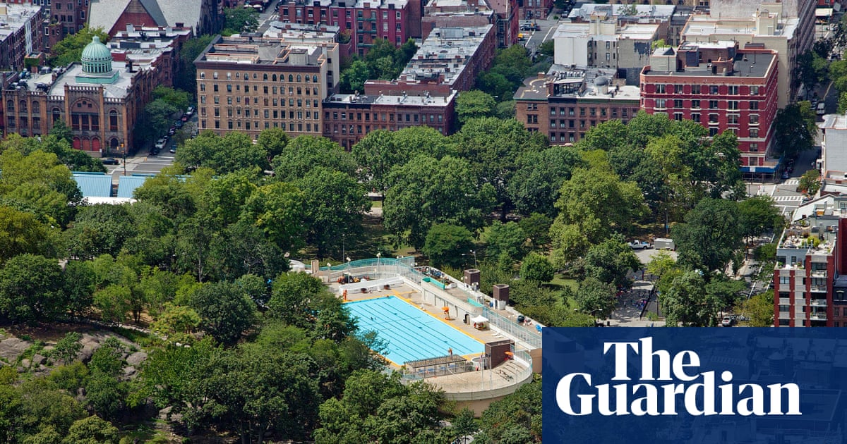 ‘The tree is trying its best’: why New Yorkers are counting – and rating – every park tree | New York