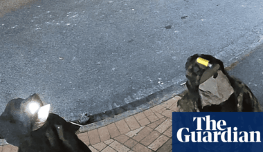 New Zealand fugitive and one of his children spotted on CCTV after four years on the run, police believe | New Zealand