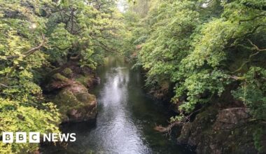 Drought declared in north Wales by environmental watchdog