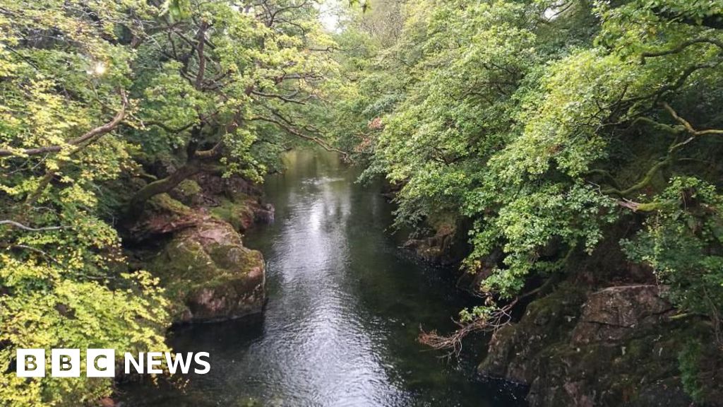 Drought declared in north Wales by environmental watchdog