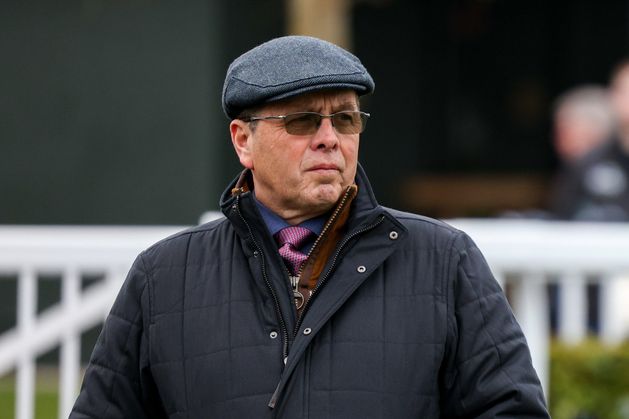 Red Letter ready to thrive for Ger Lyons over longer trip