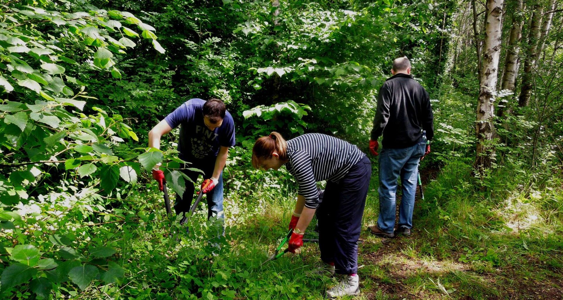 Edinburgh & Lothians Greenspace Trust speak out on impact of EIJB cuts – The NEN – North Edinburgh News