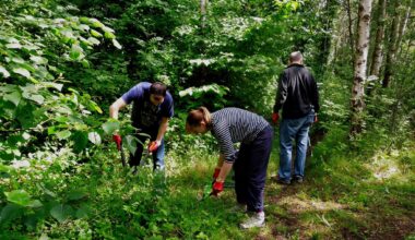 Edinburgh & Lothians Greenspace Trust speak out on impact of EIJB cuts – The NEN – North Edinburgh News
