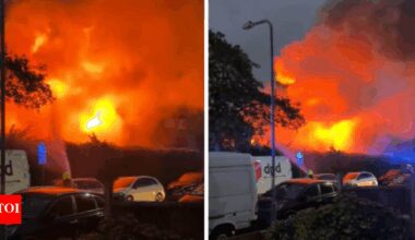 Fire guts Hindu community centre in London
