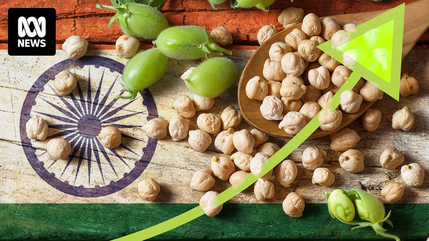 Lucrative Indian chickpea market reopens for Australian farmers with 10 per cent tariff