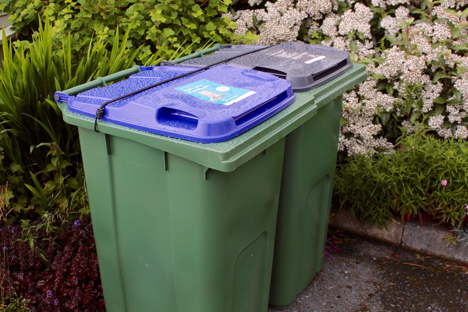 Little appetite for idea of collecting food waste and textiles from households