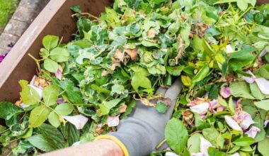 Can I fly-tip garden waste in Wiltshire?