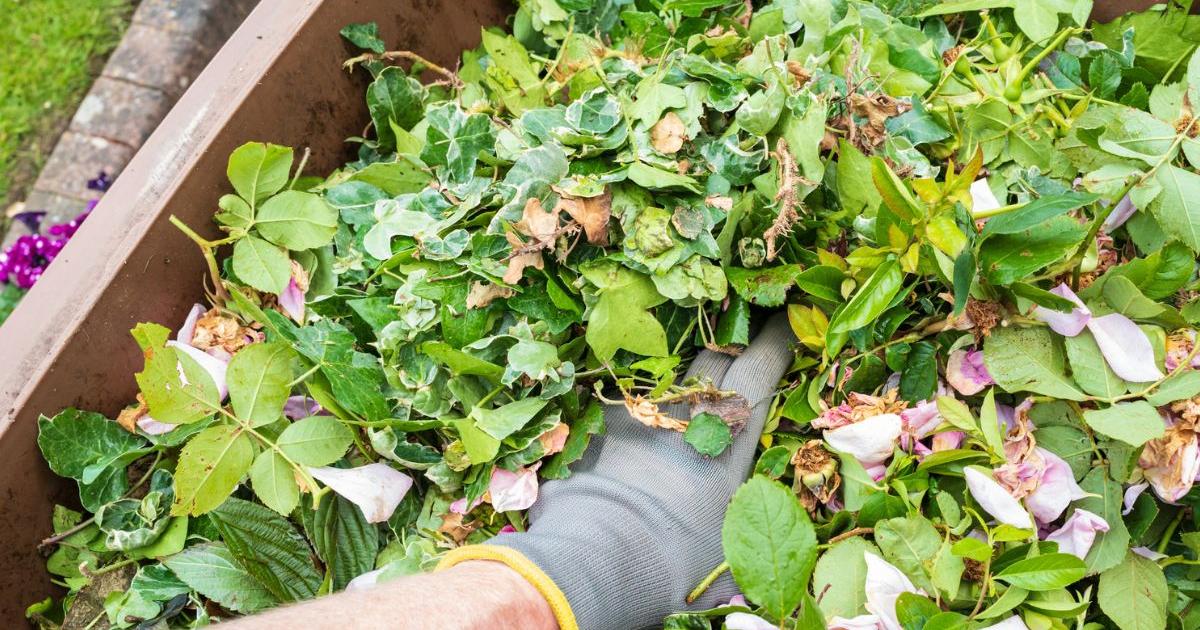 Can I fly-tip garden waste in Wiltshire?