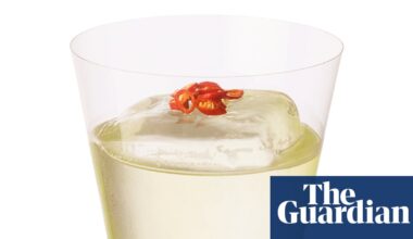 Cocktail of the week: Noto Edinburgh’s tree snake – recipe | Cocktails