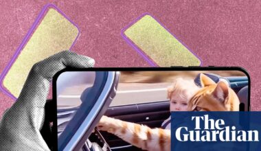AI has created a new breed of cat video: addictive, disturbing and nauseatingly quick soap operas | Artificial intelligence (AI)