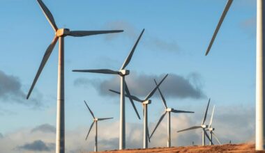 Wasted renewable energy could have powered all Scottish homes in 2025 so far