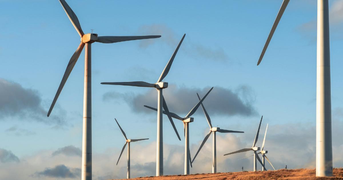 Wasted renewable energy could have powered all Scottish homes in 2025 so far