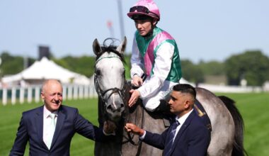 Champions Day the target for Field Of Gold return