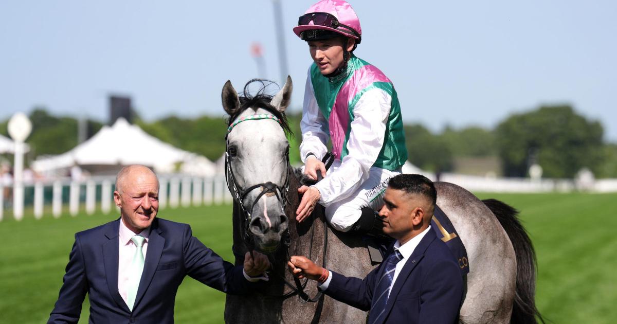 Champions Day the target for Field Of Gold return