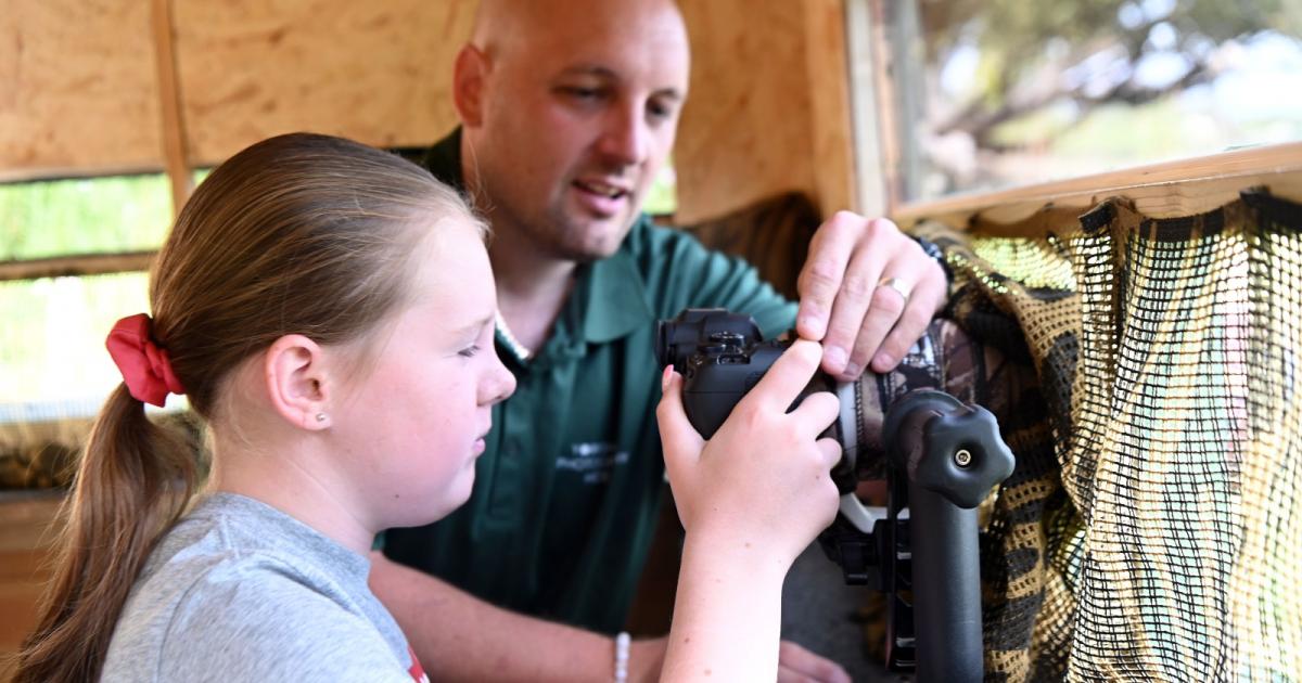 Free wildlife photography sessions for youngsters in August