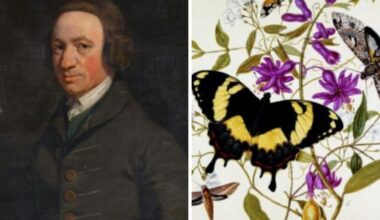 All about the mysterious Dorset naturalist Henry Seymer
