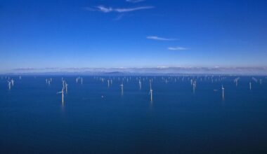 Where is the vision to provide jobs from green energy projects?
