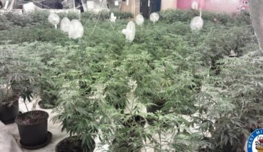 Smethwick: Police shut down drugs den after raid