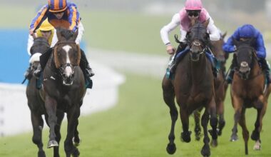 Scandinavia and Lambourn lead 26 St Leger hopefuls