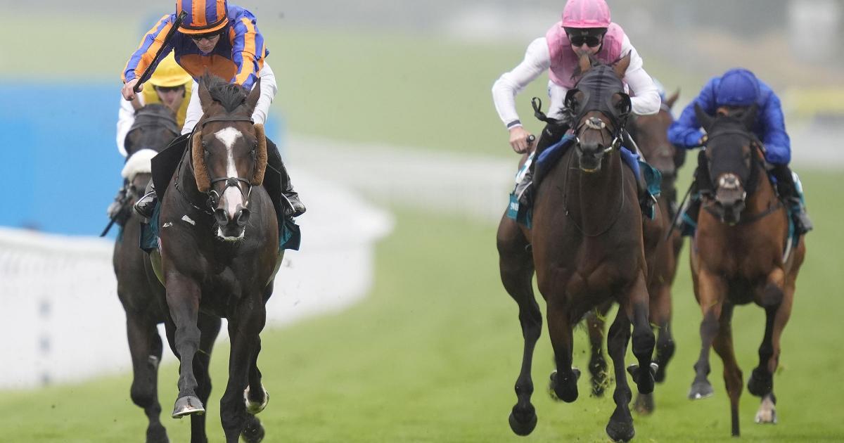 Scandinavia and Lambourn lead 26 St Leger hopefuls