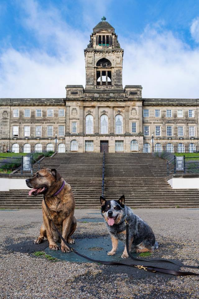 Bob and Cain at Wallasey Town Hall by Tracey Rennie